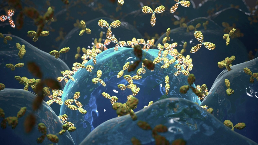  I Cannot Remember the Names of Biologics. Should I Retire?