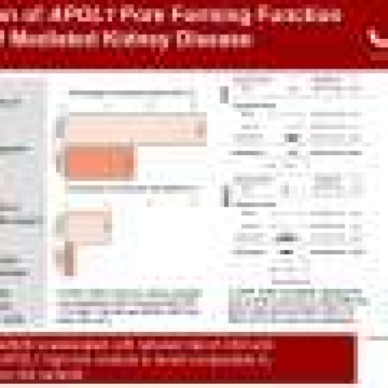  Kidney disease gene found to also have a protective mutation