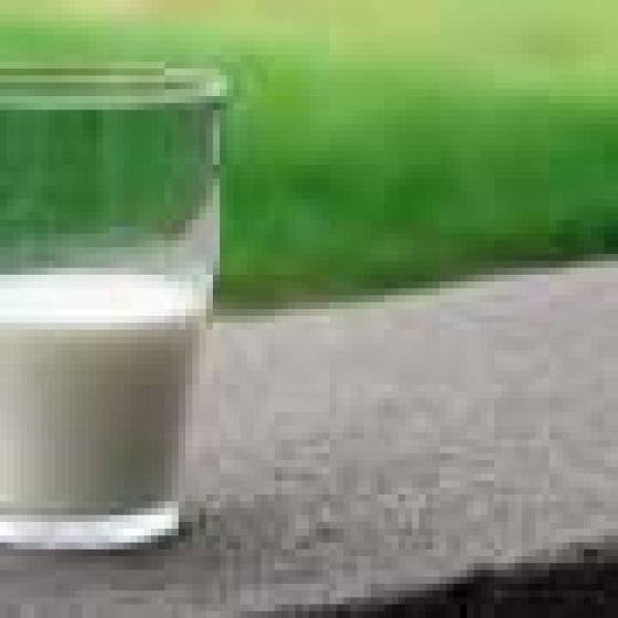  Higher calcium and zinc intake linked with healthier pregnancy outcomes