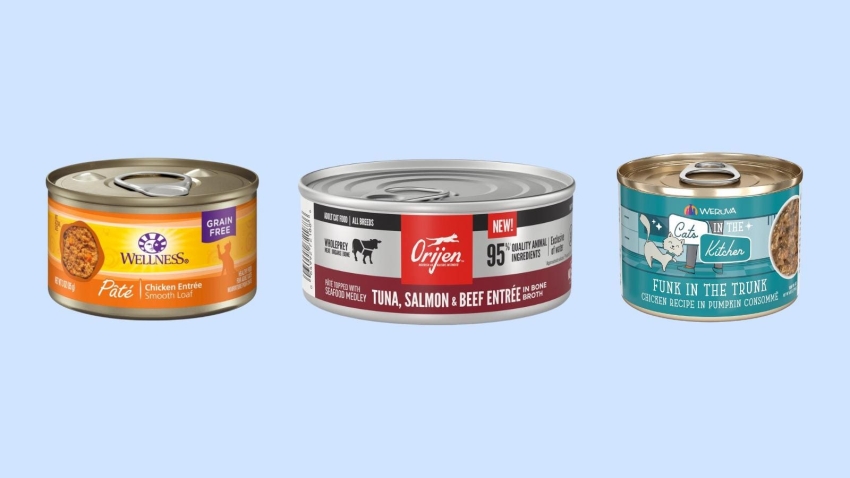 Best Wet Cat Foods 2024