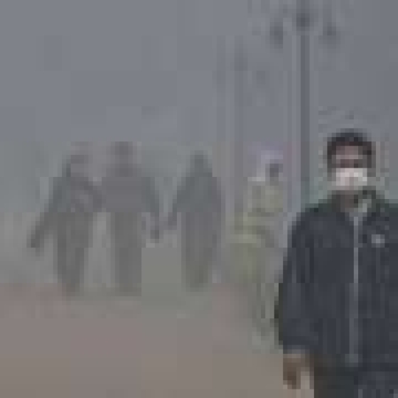  Heat, air pollution, disease: How climate change affects health