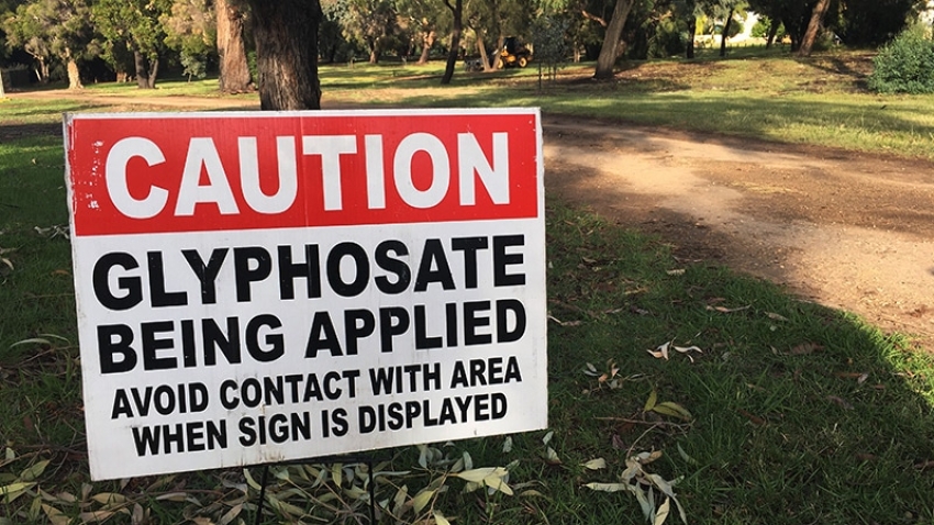  Common Herbicide a Player in Neurodegeneration?