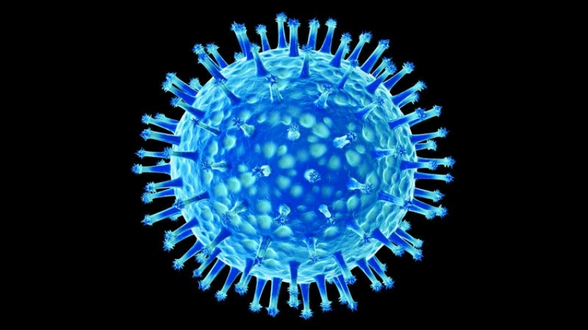  Seasonal Flu Shot: Shield Against Avian Influenza Pandemic?