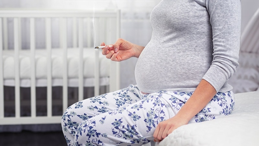  Cannabis Use Raises Risk for Pregnancy-Related Nausea
