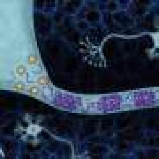 ATP prevents harmful aggregation of proteins associated with Parkinson’s and ALS, scientists discover