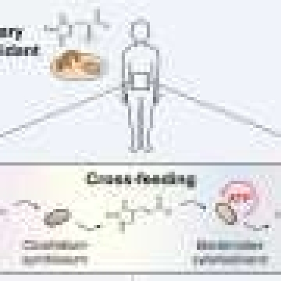 Mushroom-derived molecule drives microbial chemistry linked to colorectal cancer