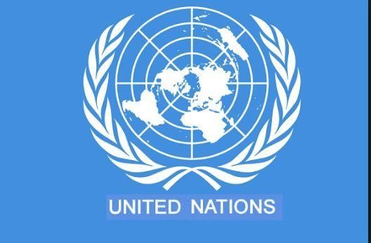  From the Stage to the Global Stage: Artist NYcee of KuliKuli Entertainment Secures Prestigious UN Access, Championing Humanitarian Causes Through Art