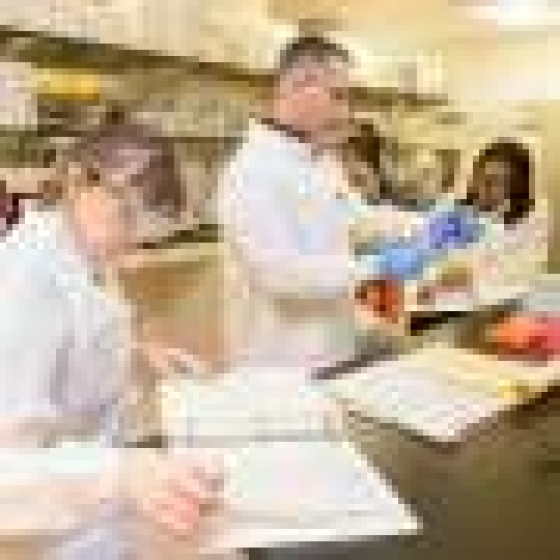 Global inequalities found in cancer research funding