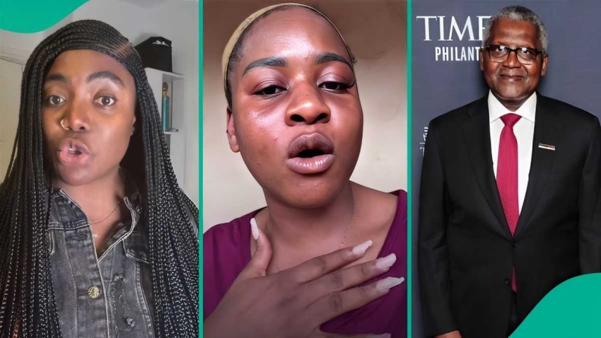  Izzy Ogbeide weighs in on Phyna and Dangote’s saga, reveals what Nigerians should do, netizens react