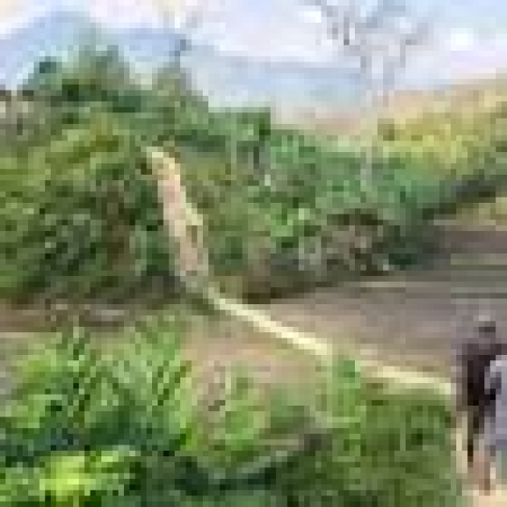  Building stronger health systems saves lives, Madagascar experiment shows