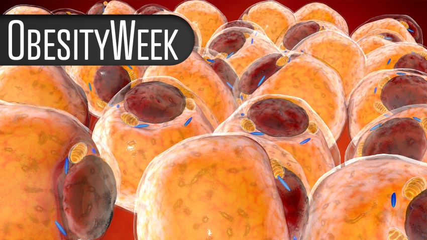 WIC Telehealth Program Improved Diet, Had Modest Impact on Weight Gain in Pregnancy