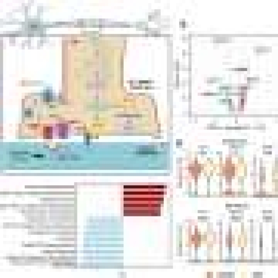 Long-term calorie restriction may slow normal brain aging