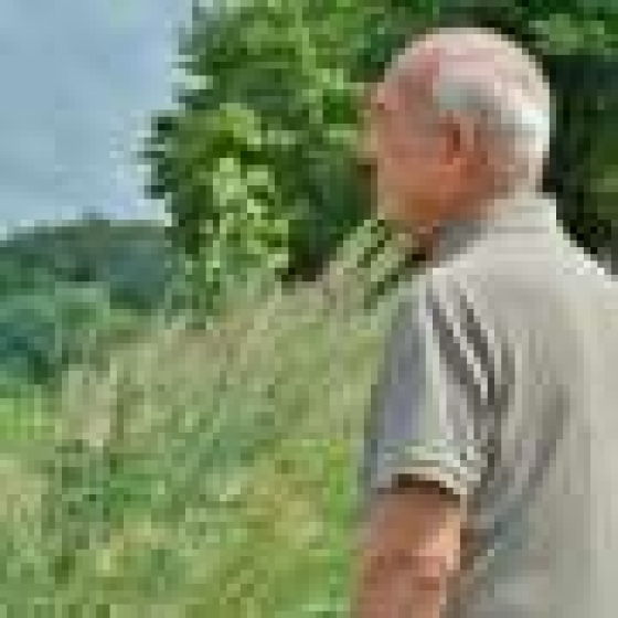 A simple neck scan could detect men at high risk of heart failure