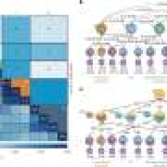 Genetic overlap of 14 psychiatric disorders explains why patients often have multiple diagnoses