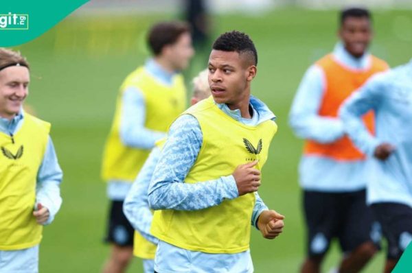 Kaye Furo: Son of Nigeria’s AFCON 2000 star dares Arsenal after first goal for Club Brugge