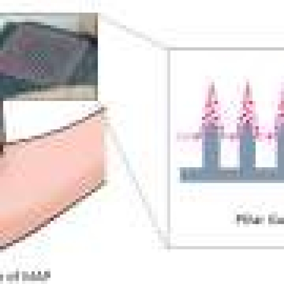  A 3D-printed delivery system enhances vaccine delivery via microneedle array patch