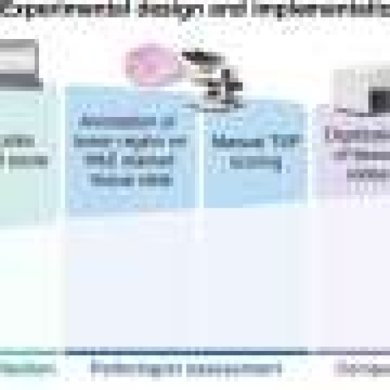 New artificial intelligence tool may help personalize ovarian cancer treatment from day one