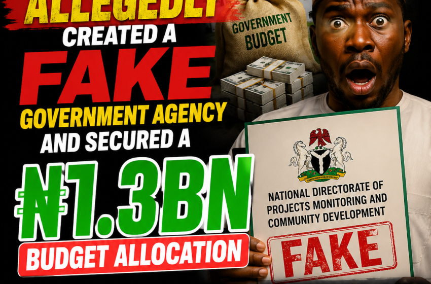  The Nigerian Fake Agency Scandal: An International Embarrassment, Institutional Failure or Government Oversight?