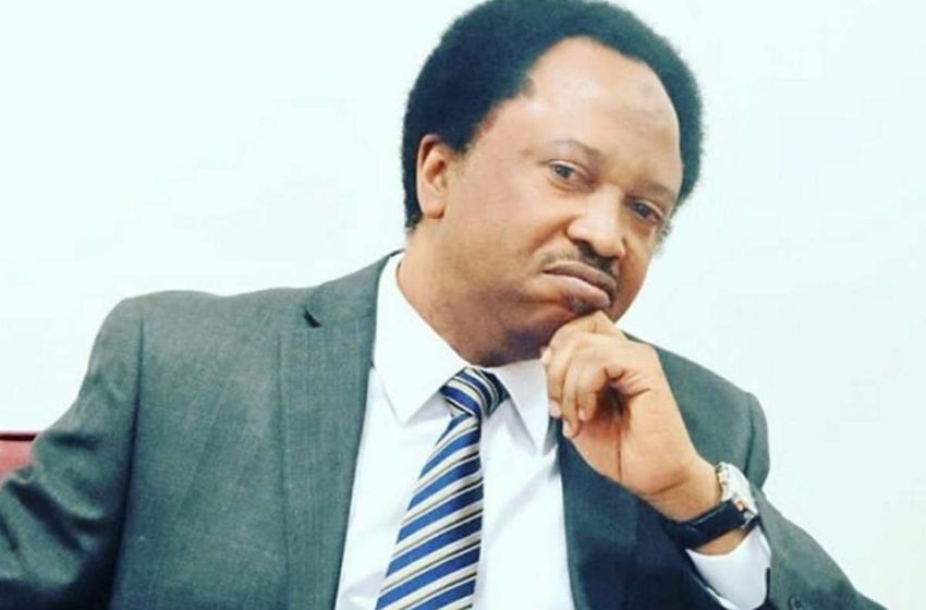 A Vision for Kaduna Central: Why Senator Shehu Sani Stands Apart