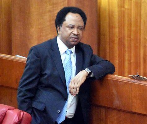 Shehu Sani and Afrobeats star Davido; regarding the 2026 Osun State governorship election.