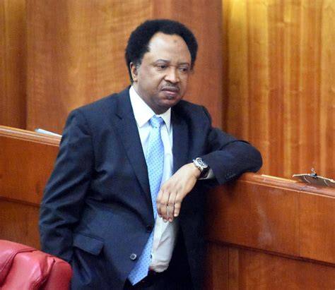  Shehu Sani and Afrobeats star Davido; regarding the 2026 Osun State governorship election.