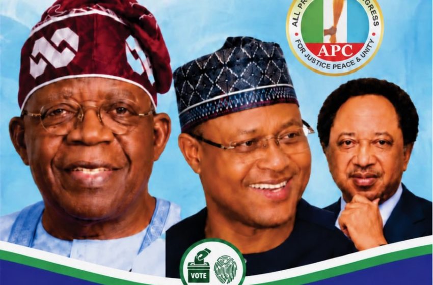 Kaduna Diaspora Support Services Statement on the APC 2027 Flag-Off in Kaduna